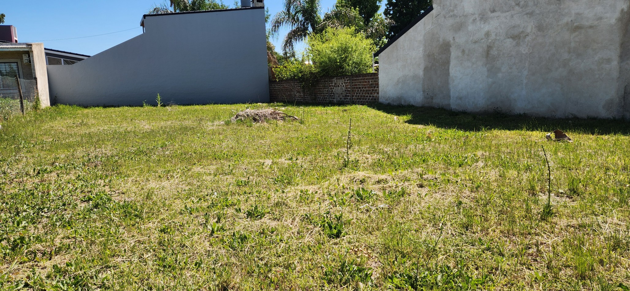 VENTA DE TERRENO - COLONIA AVELLANEDA