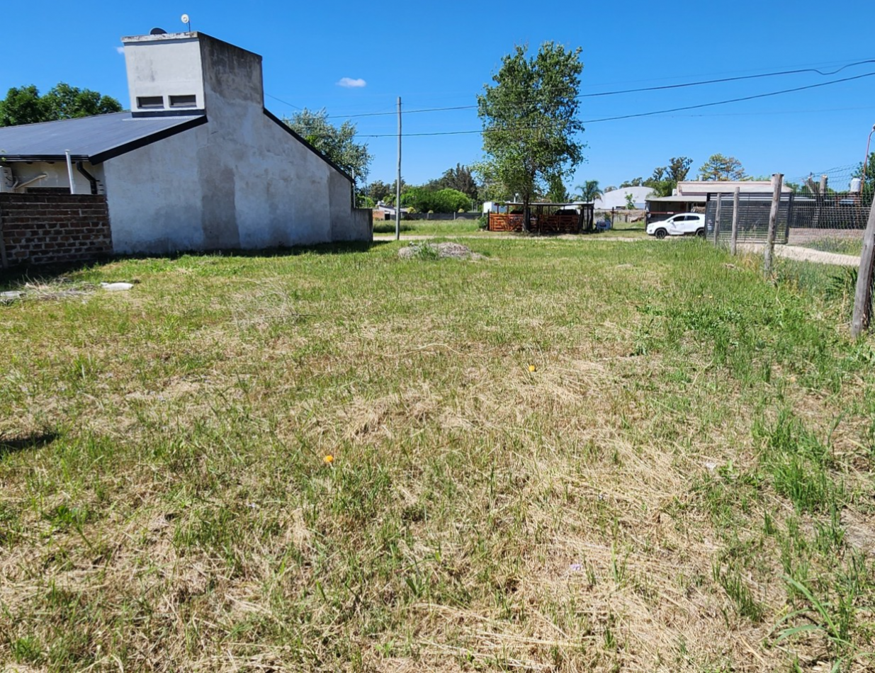 VENTA DE TERRENO - COLONIA AVELLANEDA