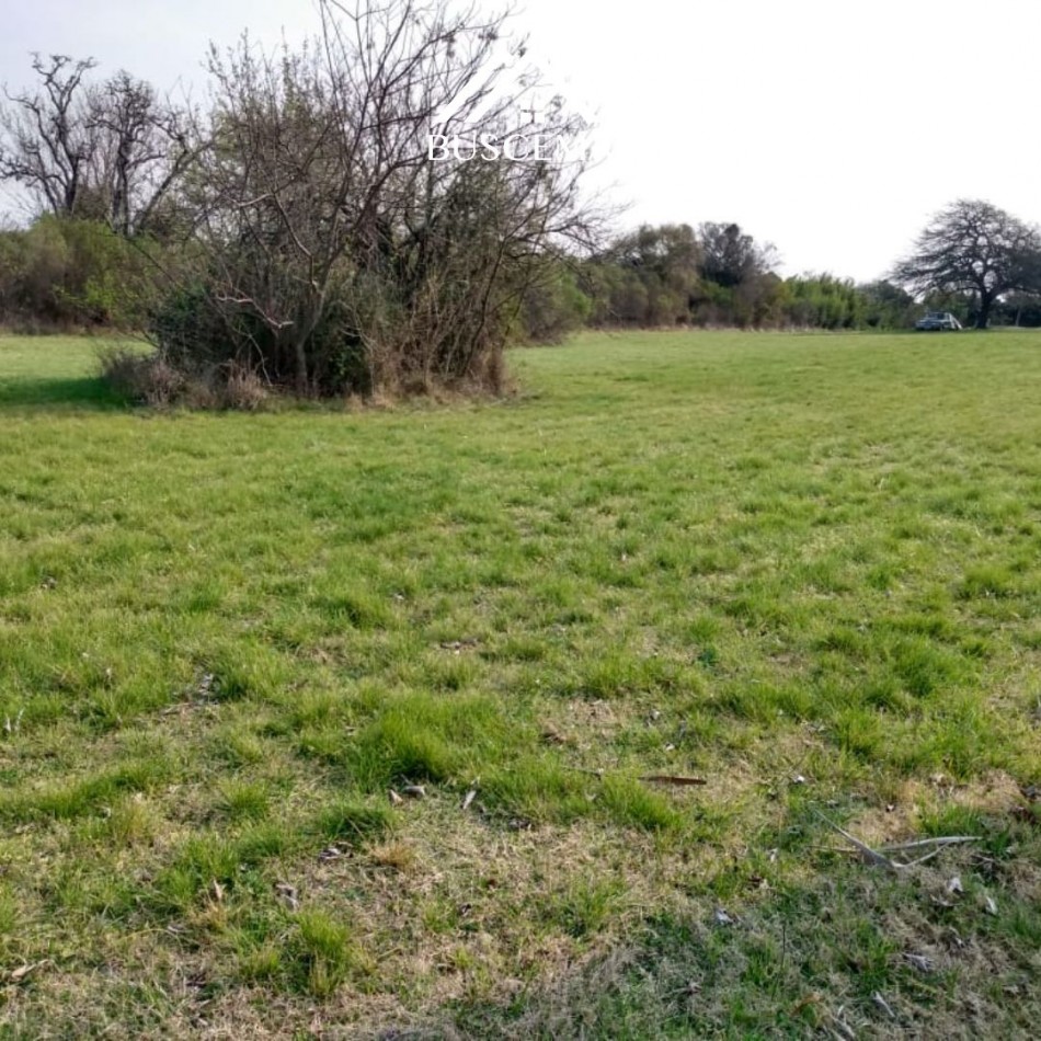 LOTE DE 800 M2 EN "LAS COLINAS - GOLF CLUB"