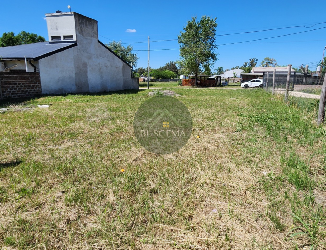 VENTA DE TERRENO - COLONIA AVELLANEDA