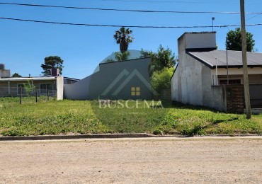 VENTA DE TERRENO - COLONIA AVELLANEDA